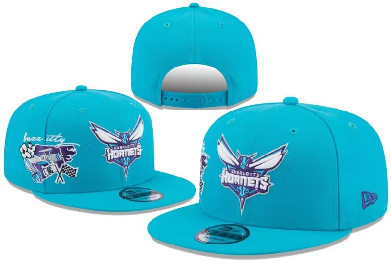 Charlotte Hornets  hat