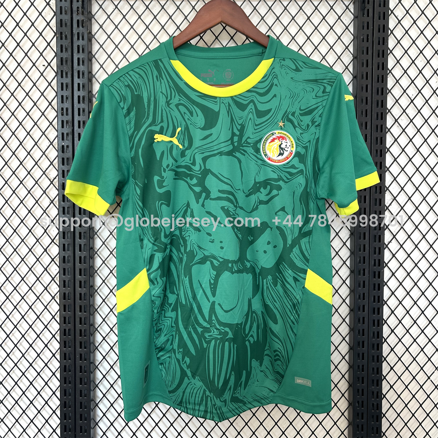 Senegal 25-26 Away Green Jersey - Fans Version
