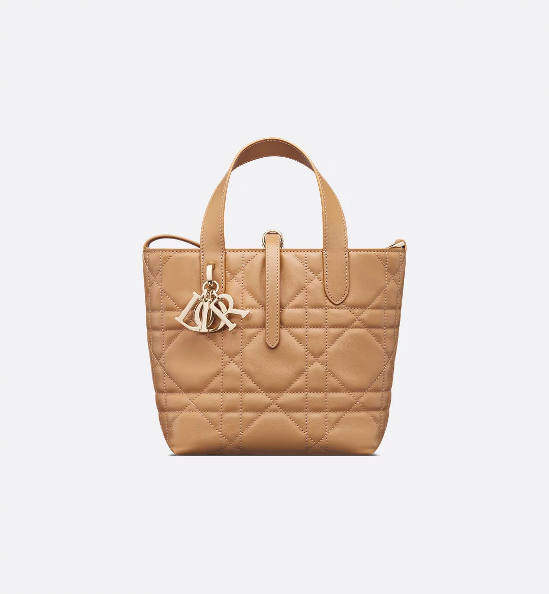 Small Toujours Vertical Tote Bag