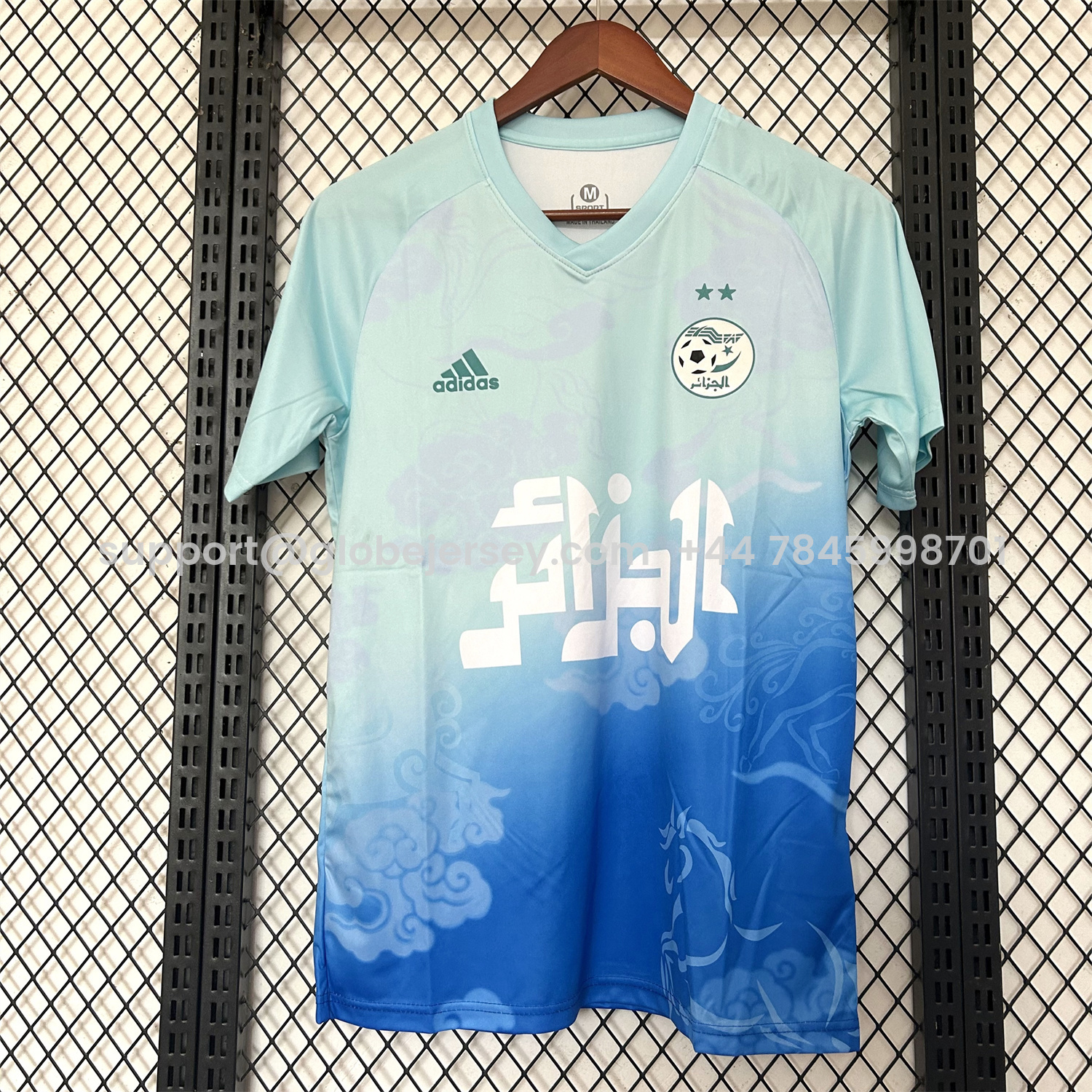 Algeria 25-26 Blue Green Gradient Auspicious Cloud Pattern Special Jersey - Fans Version