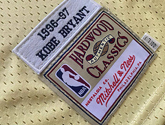 LeBron Bryant Los Angeles Lakers Golden 8 MN