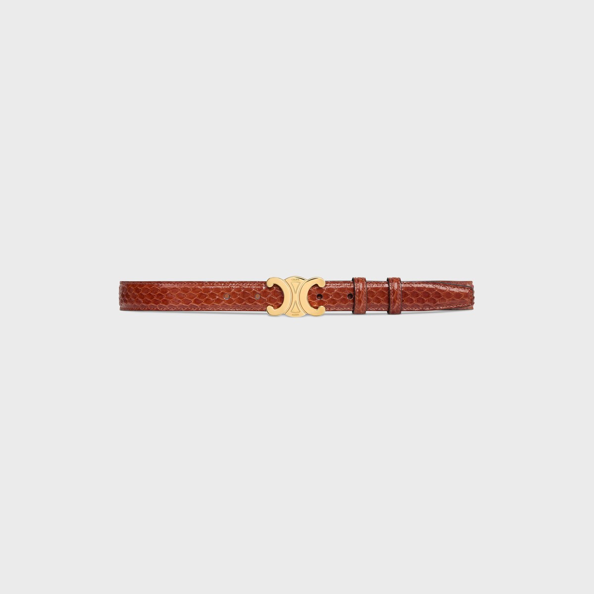 Medium Triomphe Belt in PYTHON