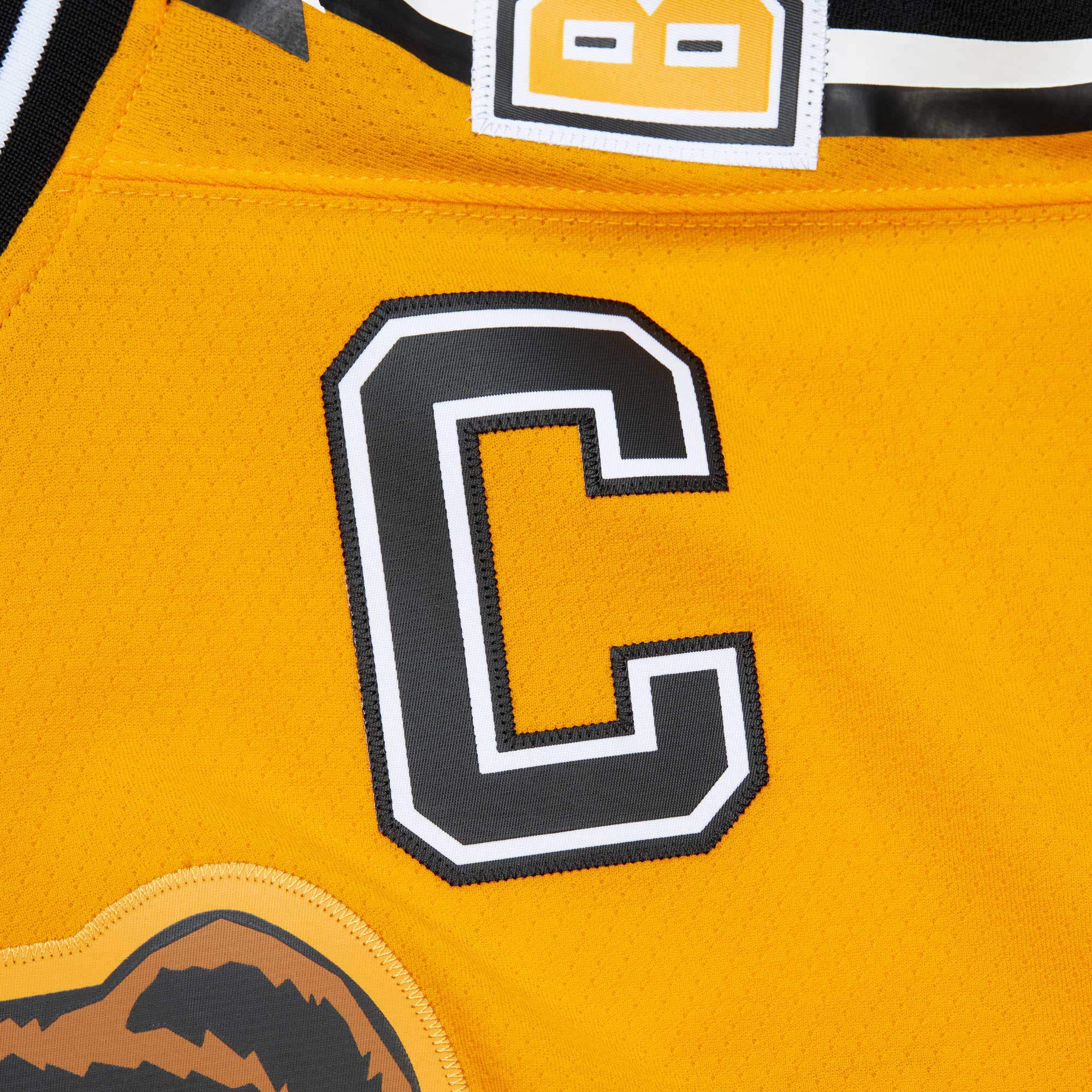 Ray Bourque Boston Bruins Mitchell & Ness  1996/97 Captain Patch Blue Line  Jersey – Gold