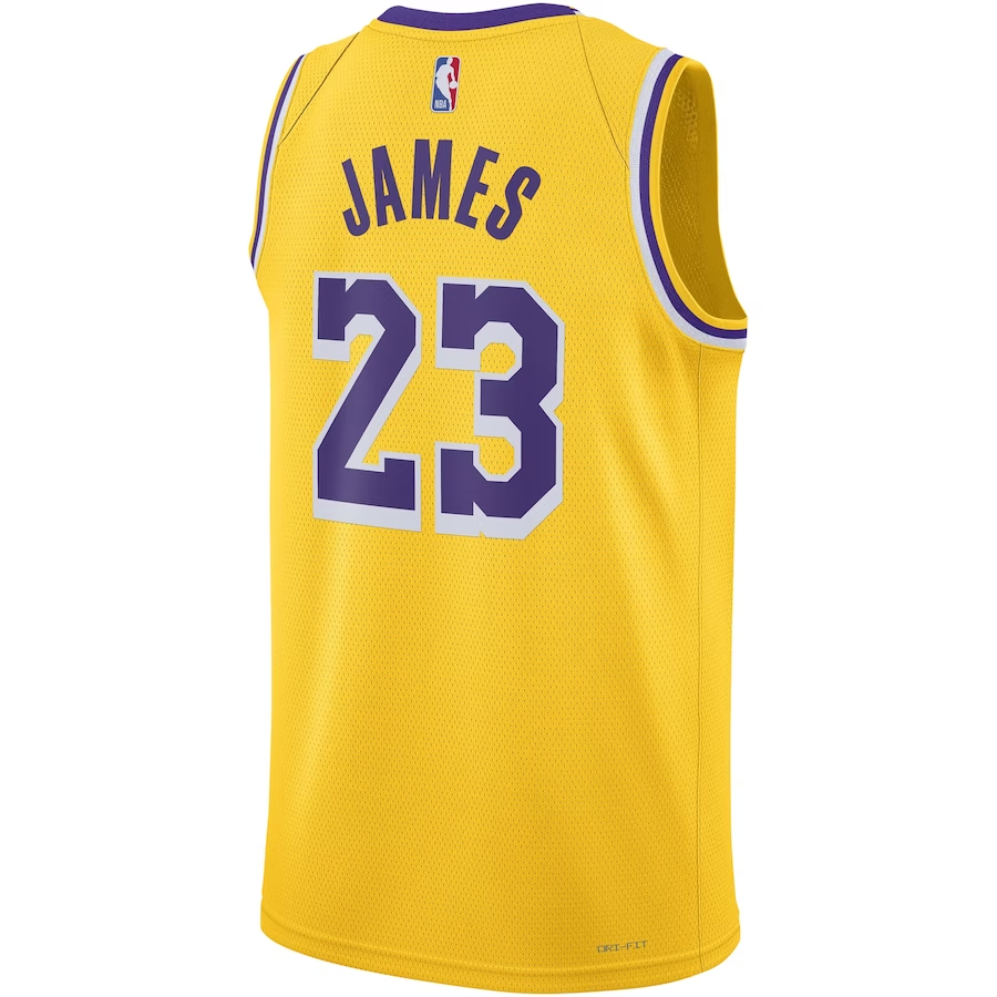 Unisex Los Angeles Lakers LeBron James  White Swingman Jersey - Gold