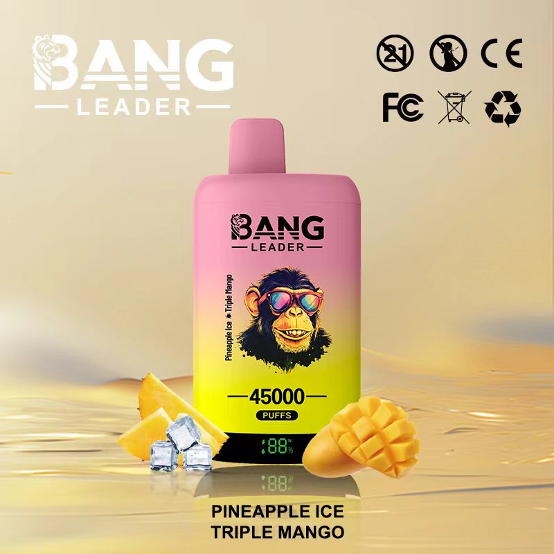 Bang Leader 45k Puffs 2-in-1