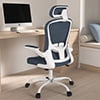 Lioncin Office Chair, High Back Ergonomic Desk Chair, Breathable Mesh Desk Chair with Adjustable Lumbar Support and Headrest, Swivel Task Chair with Flip-up Armrests,Black