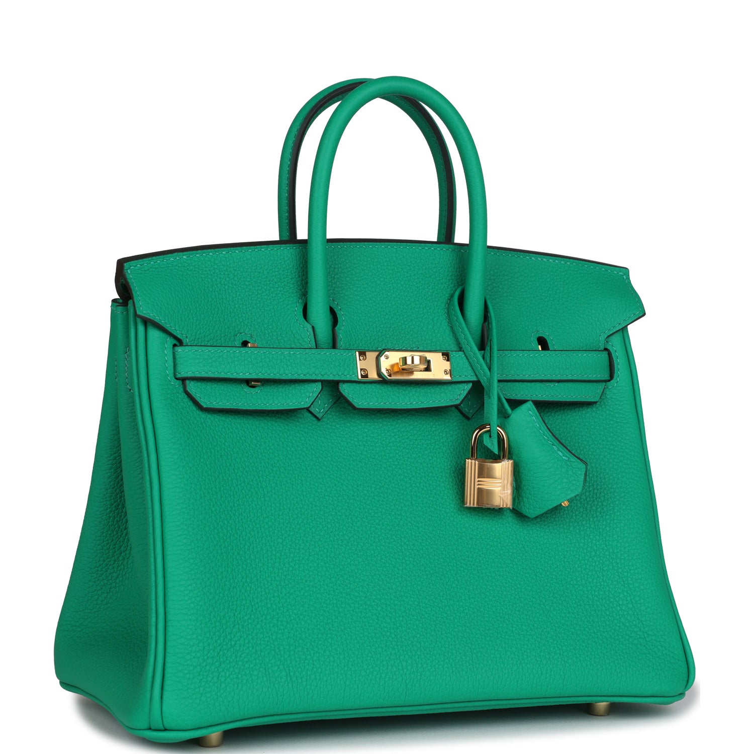 Birkin 25 Menthe Togo Gold Hardware