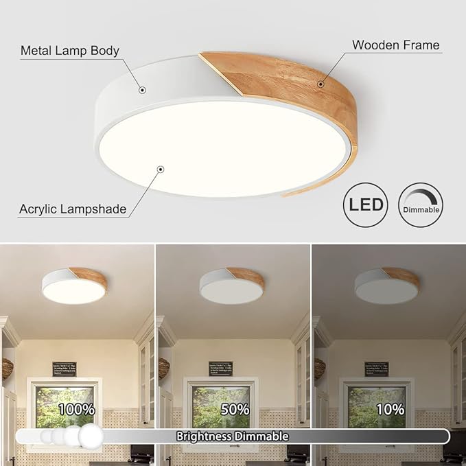 Modern Dimmable LED Ceiling Light