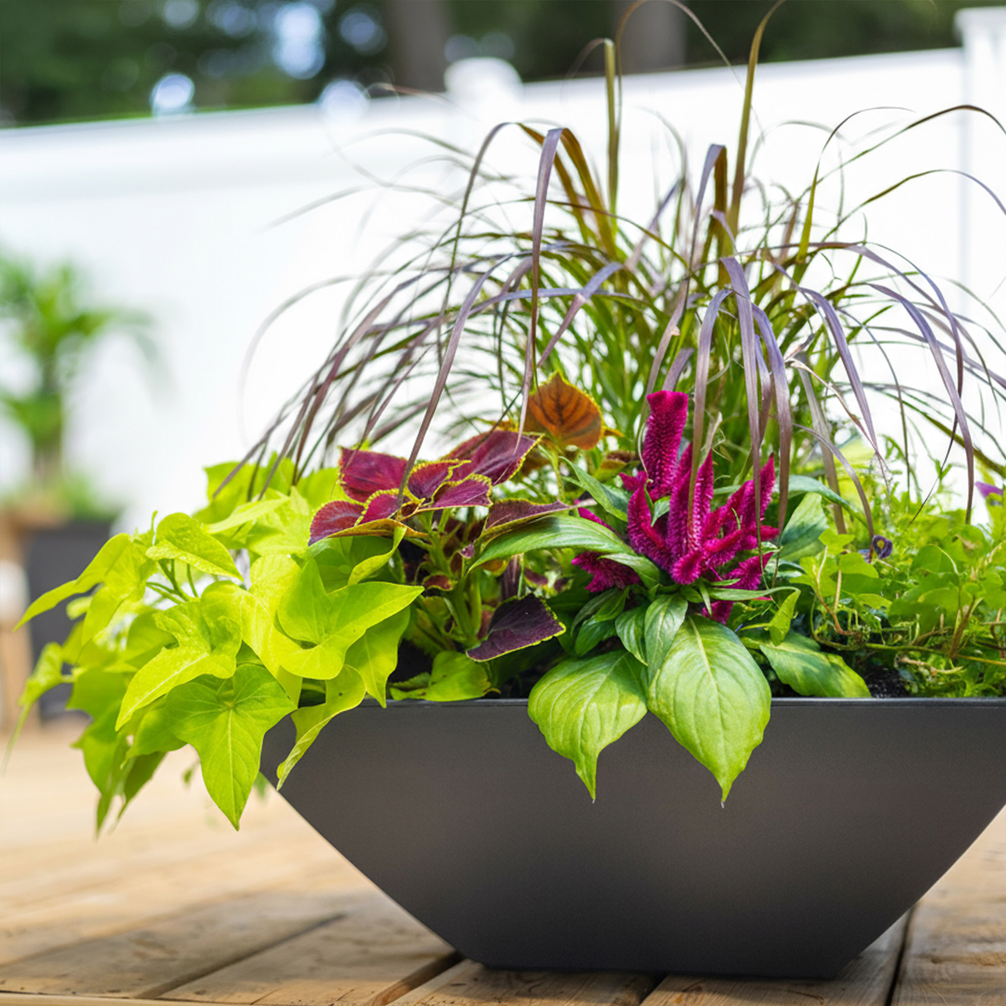 Evolve 20 in. Square Bowl Planters, Black, 2-pack