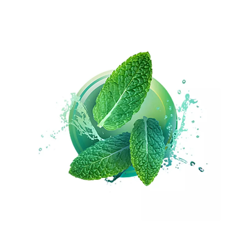 Mevius Mix Mint Menthol