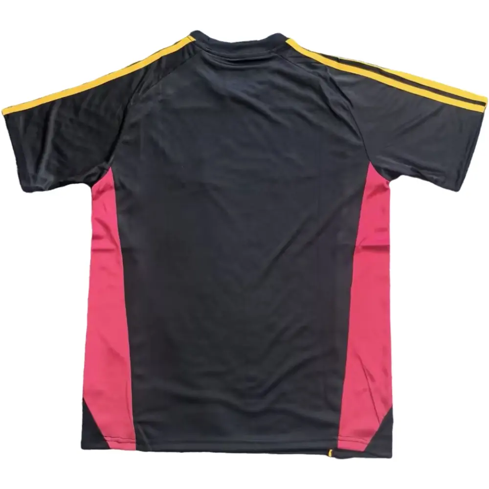 2025-26 Roma Travel Shirt - Fans Edition