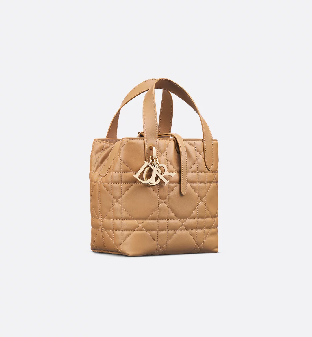 Small Toujours Vertical Tote Bag