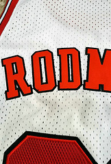Chicago Bulls Rodman 91 White MN