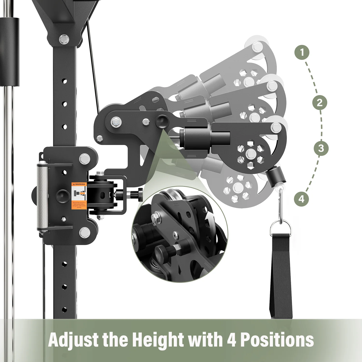 Major Fitness Flex Arms