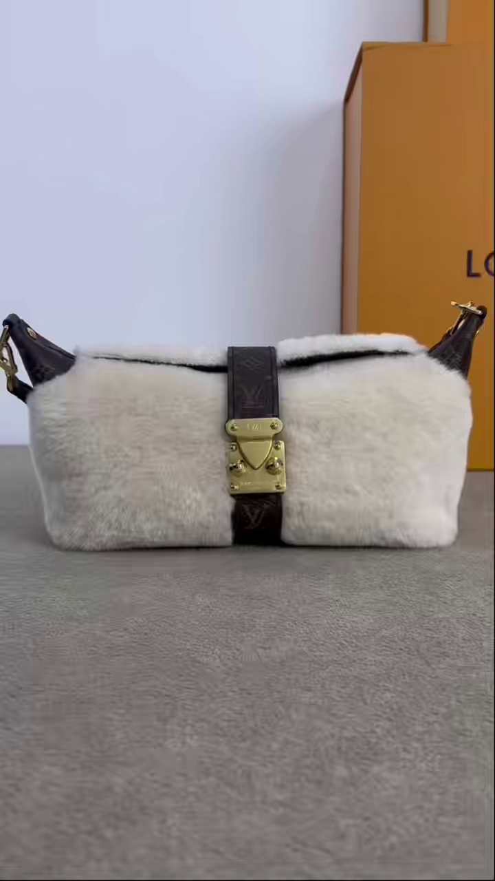LV Monogram Bag