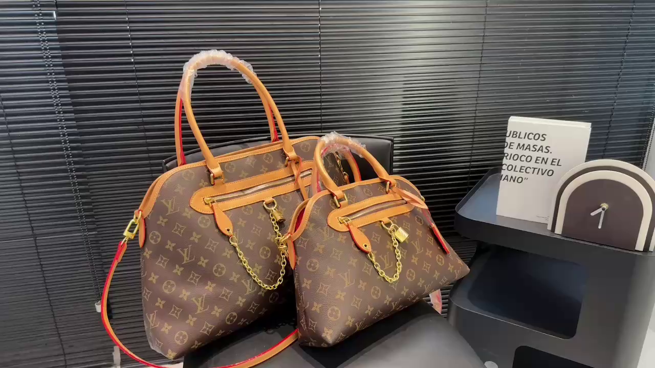LV Ever More Bag