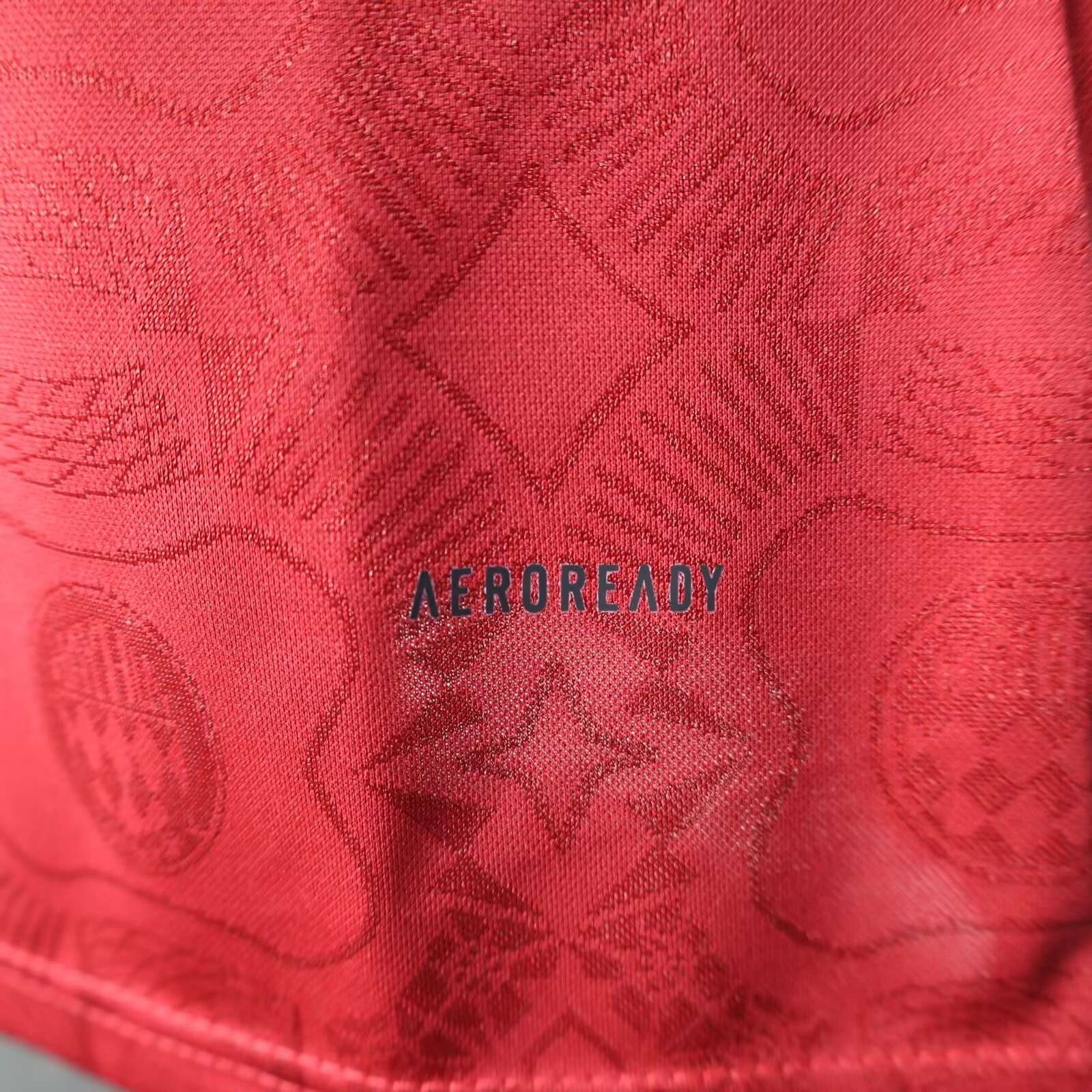 2025/2026 Long Sleeve Player Version Bayern Munich 125th Anniversary Red Football Jersey 1:1 Thai Quality