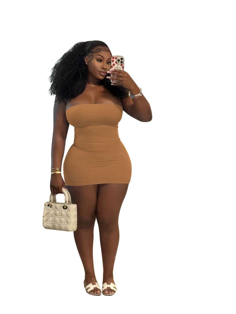 Plain Color Strapless Bodycon Mini Dress