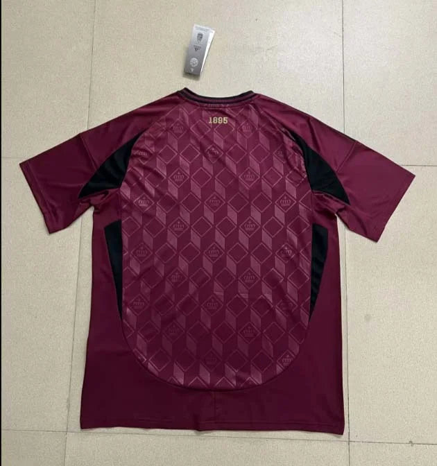 2024/2025 Belgium National Team Home Football Shirt 1:1 Thai Quality