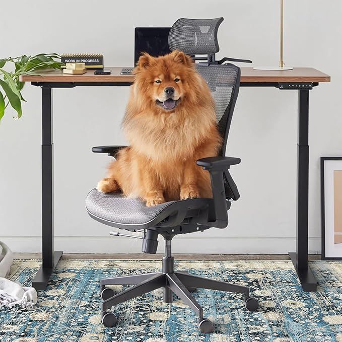 Home Office Chair Rug