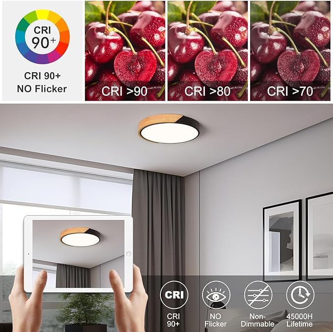 Modern LED Ceiling Light