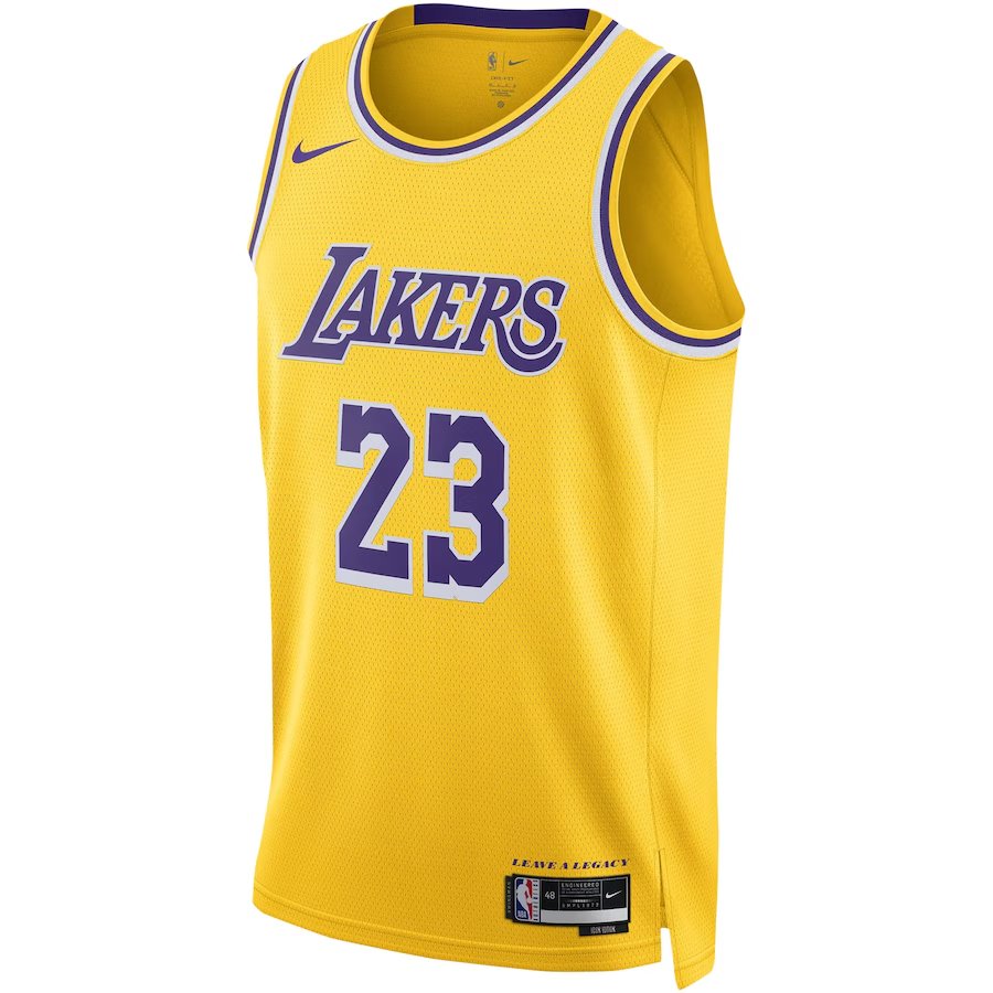 Unisex Los Angeles Lakers LeBron James  White Swingman Jersey - Gold
