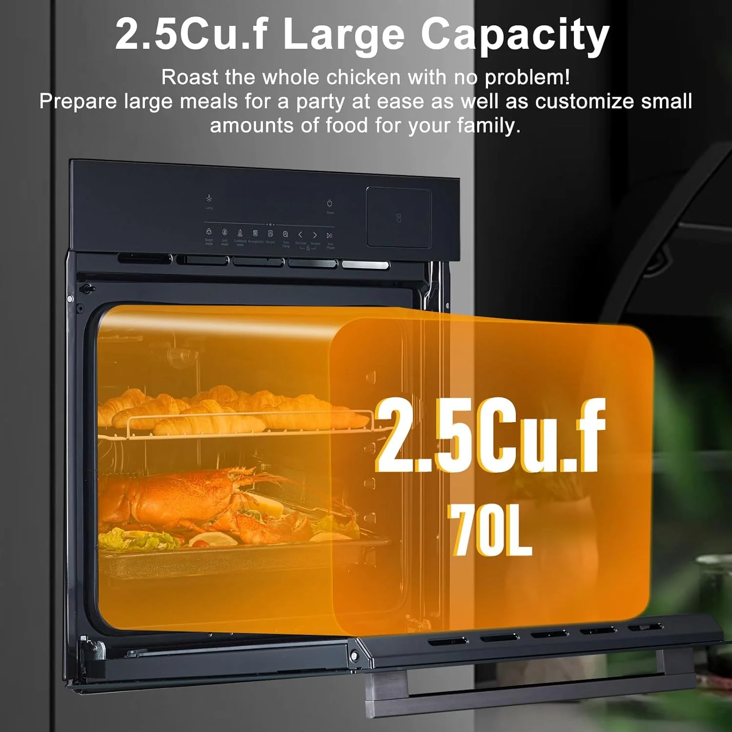Single Wall Oven 24