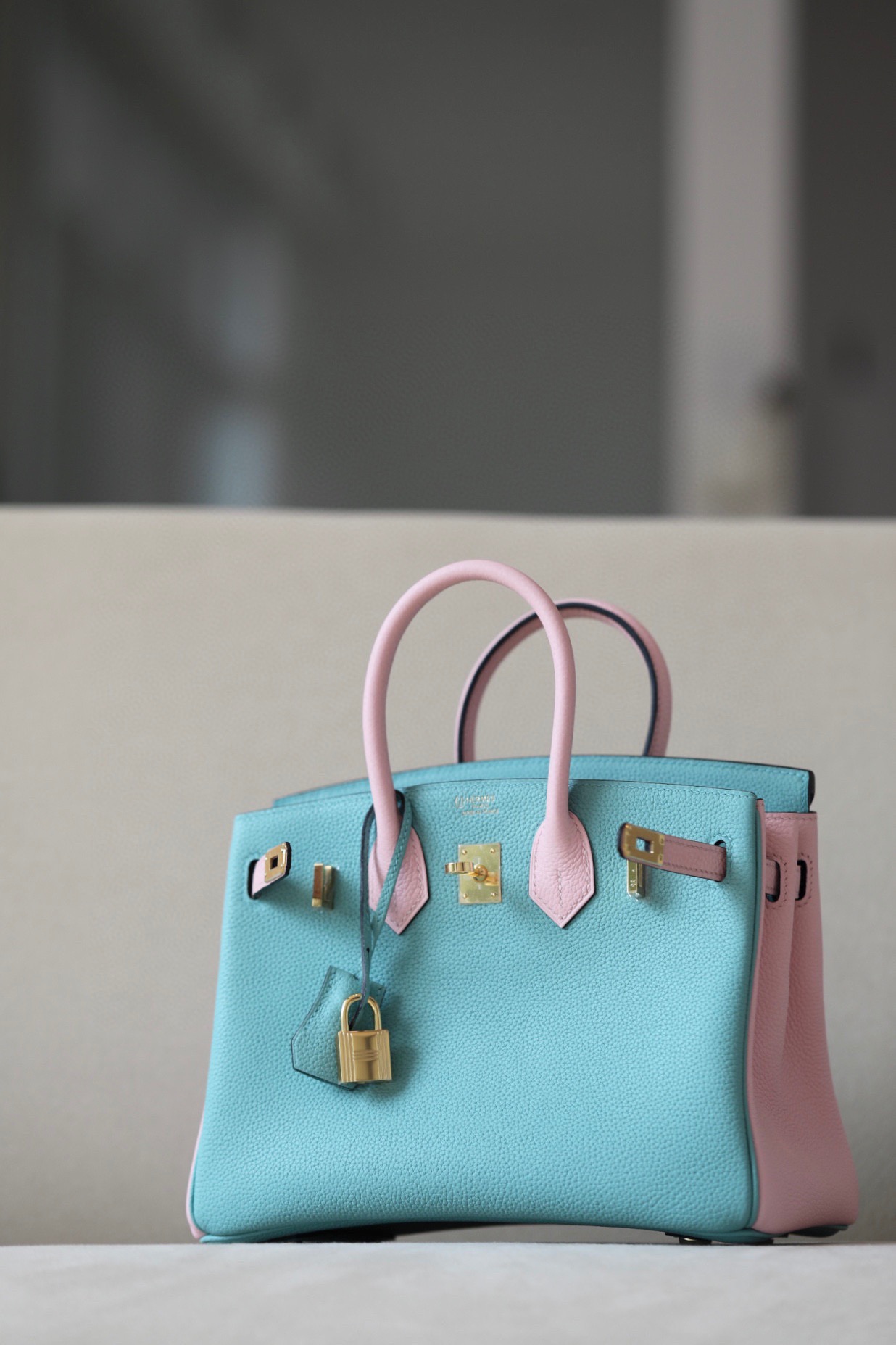 Hermes Birkin 25-30 TOGO customization