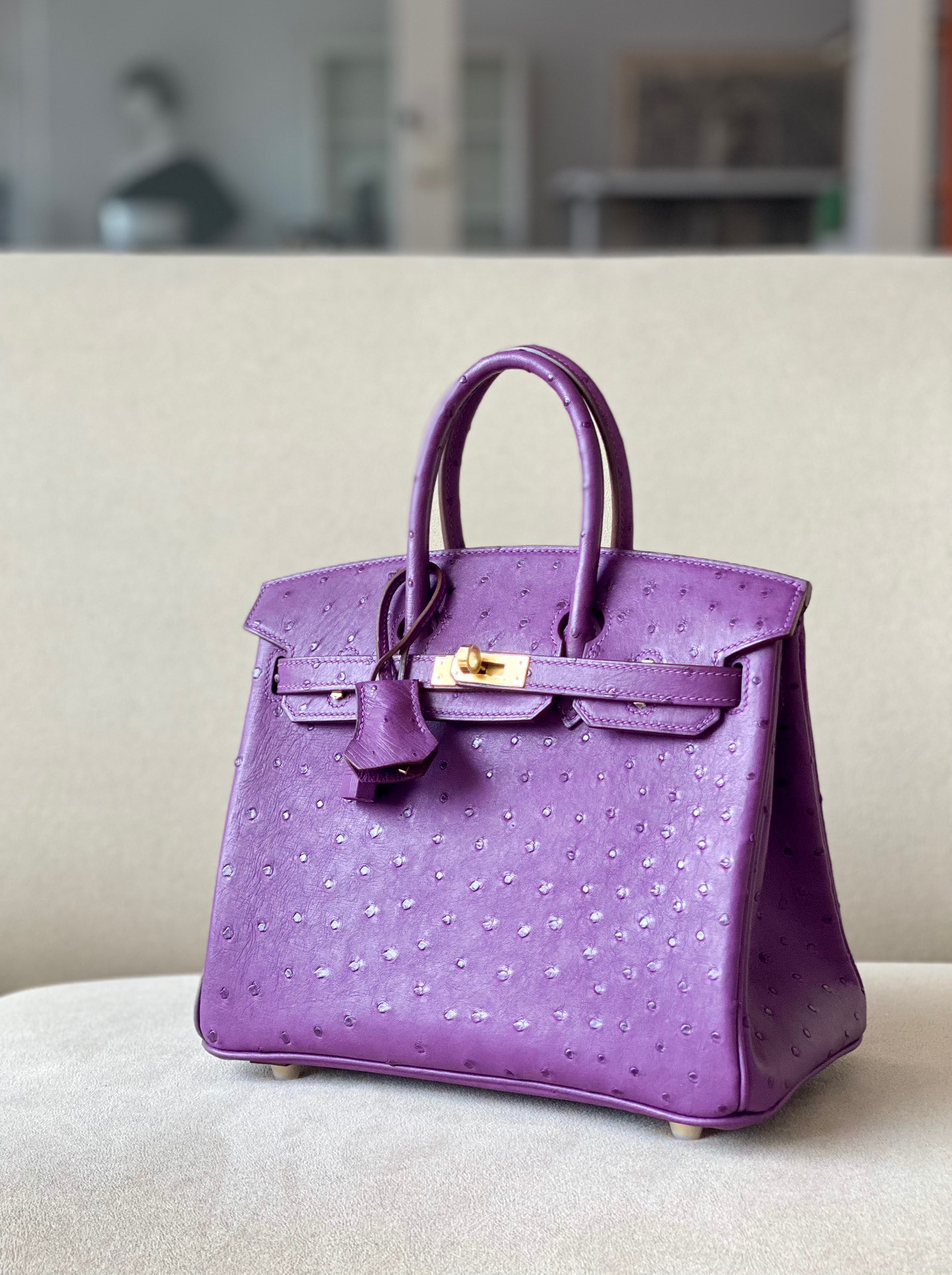 Advanced customization Birkin 25-30 Ostrich skin  customization