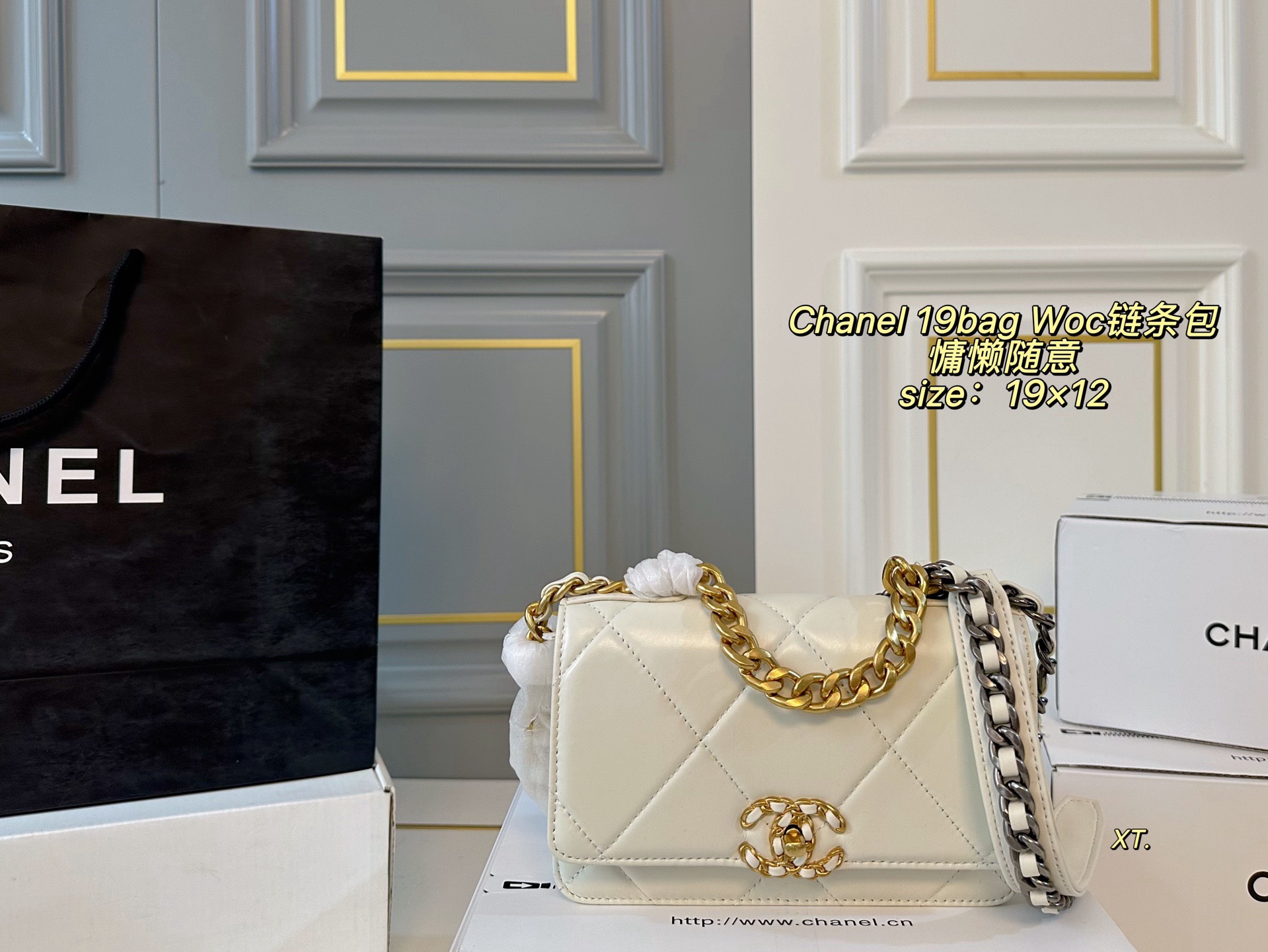 Chanel 19 chain bag