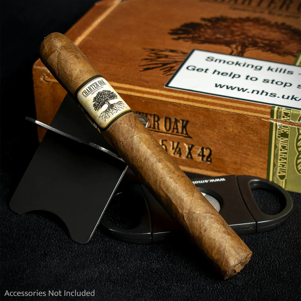 Foundation Cigars Charter Oak Original Petit Corona - Single
