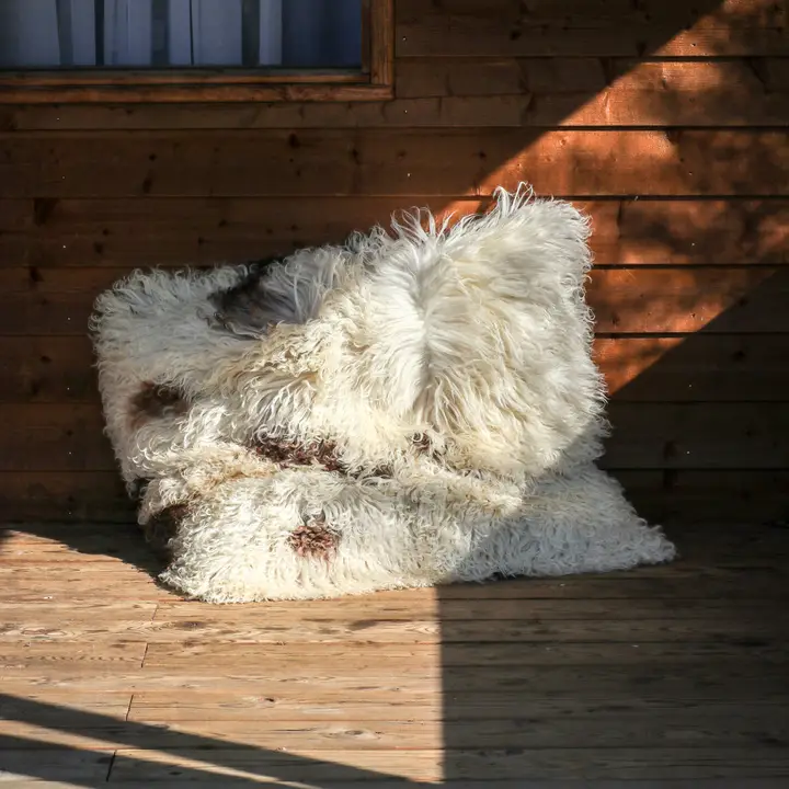 Curly Sheepskin Cushion | Austrian Mountain Wool | 80x80 cm