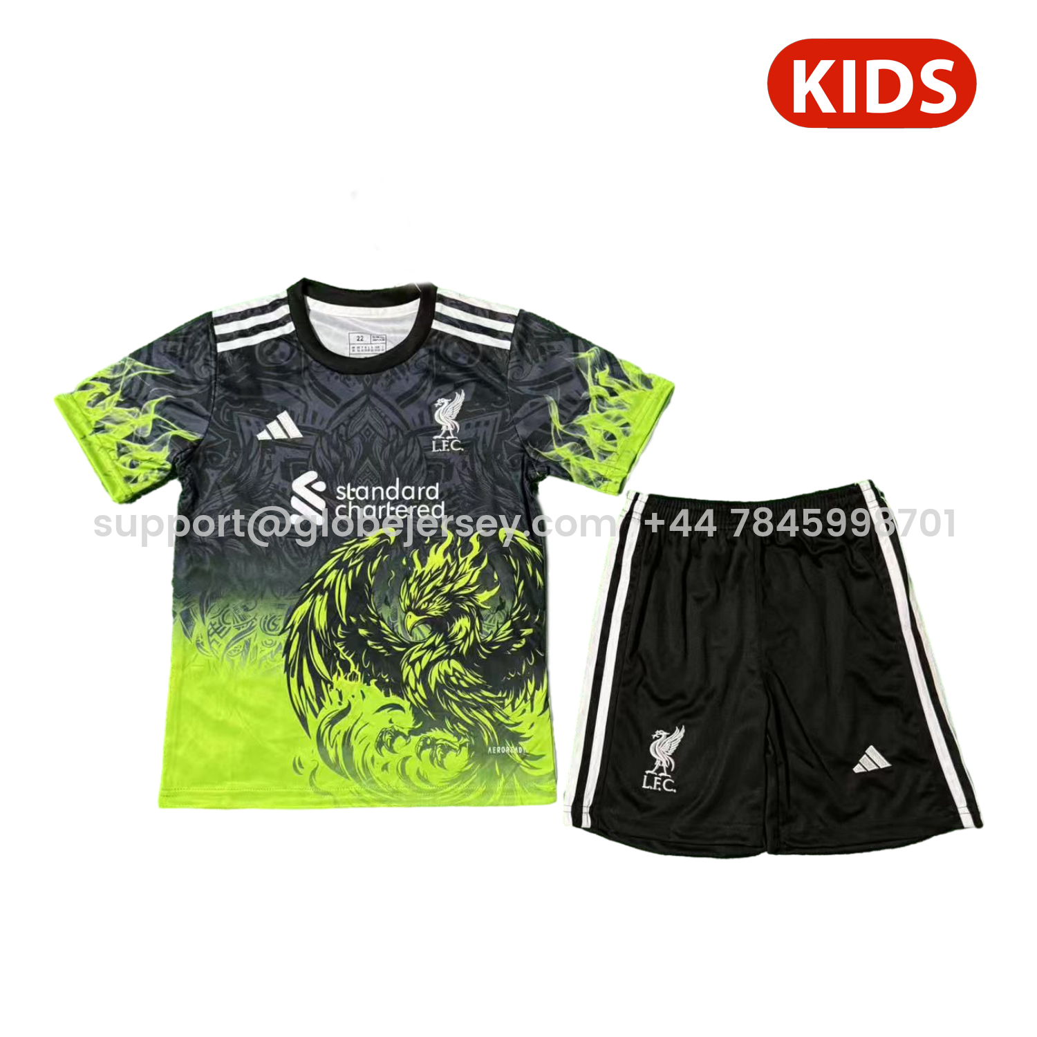 Liver.pool 25-26 Green Liver.pool Bird Black Special Kids Kit