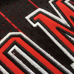 Chicago Bulls Rodman 91 Black MN