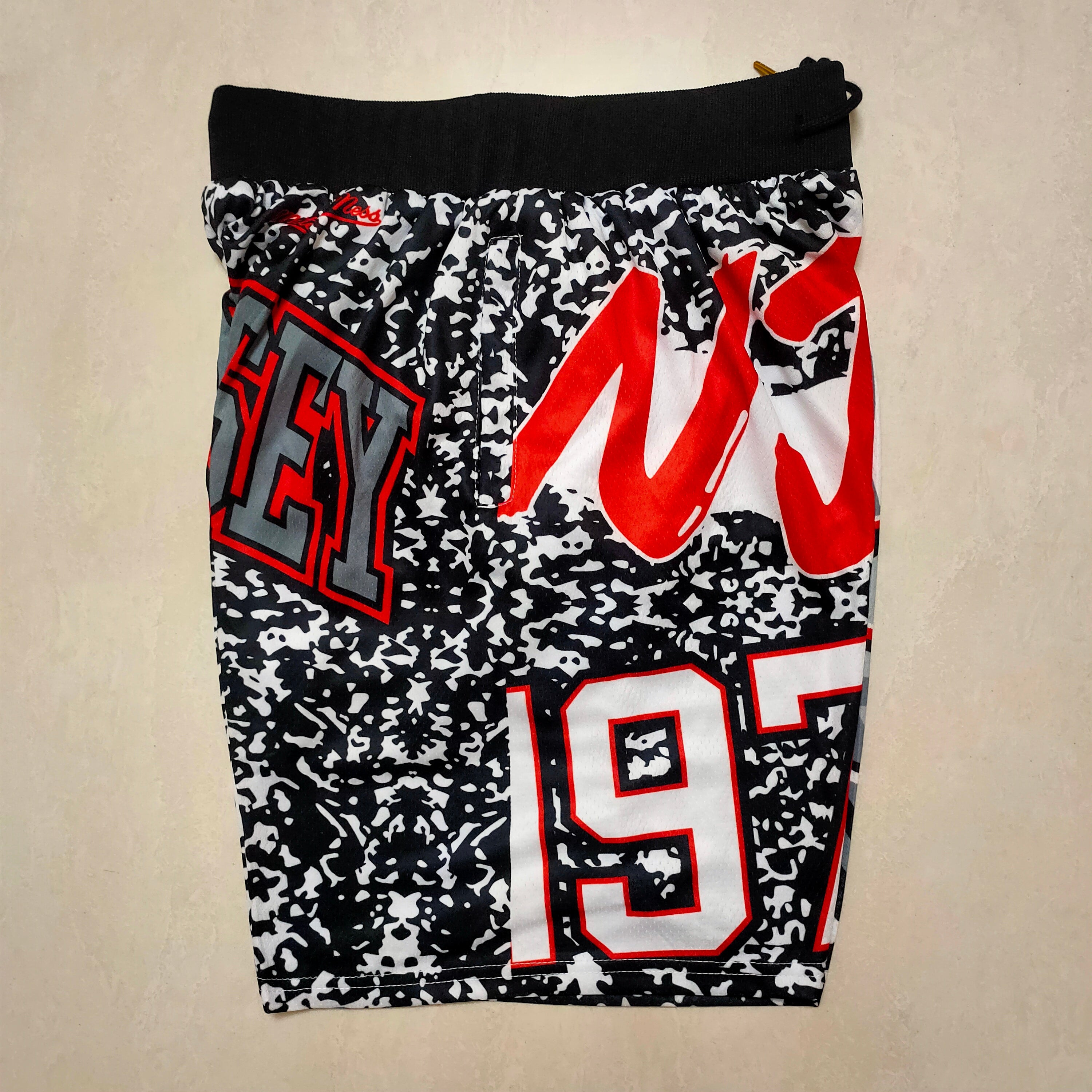 Brooklyn Nets MitchellNessMN Team Logo Pants