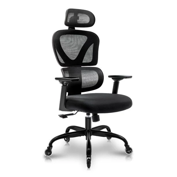 Coolhut Ergonomic Office Chair, High Back Adjustable Computer Desk Chair with Lumbar Support, 300lb, Black