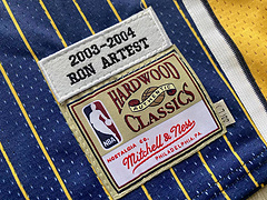 Artest Indiana Pacers  Blue 91 MN