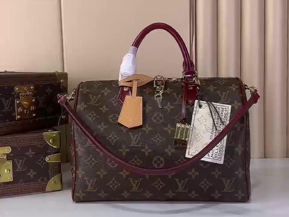 LV Speedy 30 Soft Celebration Bag
