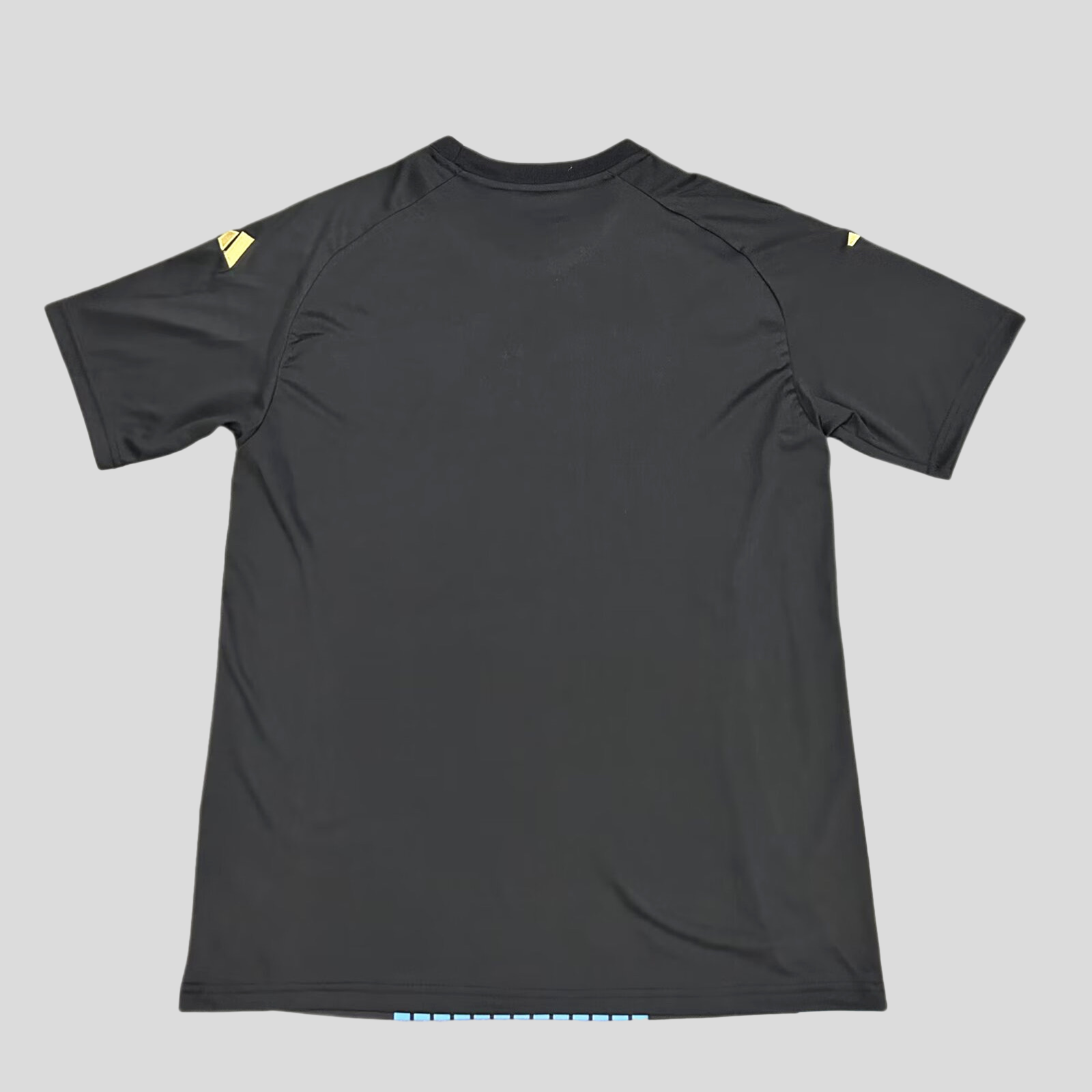 2024/25 Germany pre-match training jersey