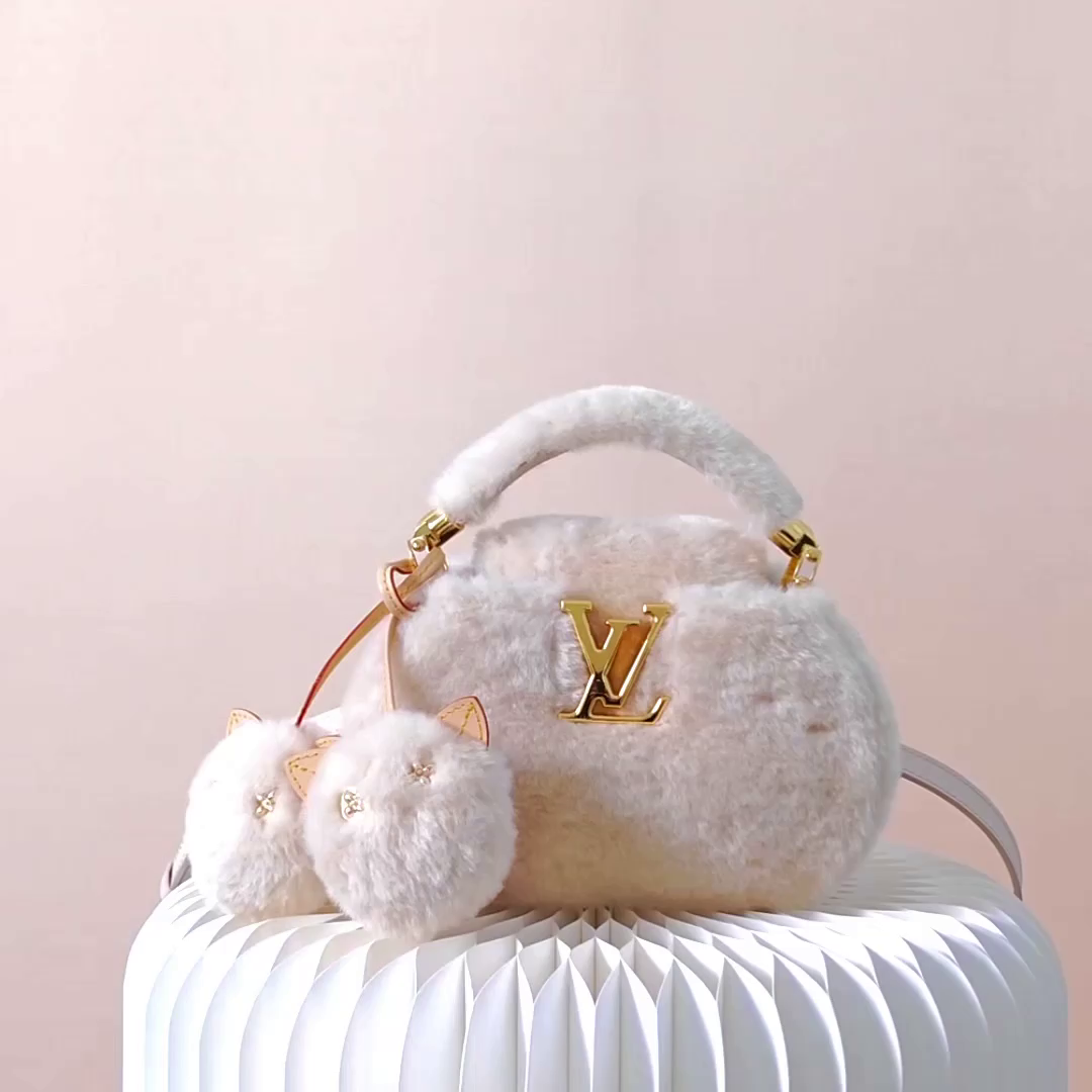 LV Capusnow Bag (Top Quality)