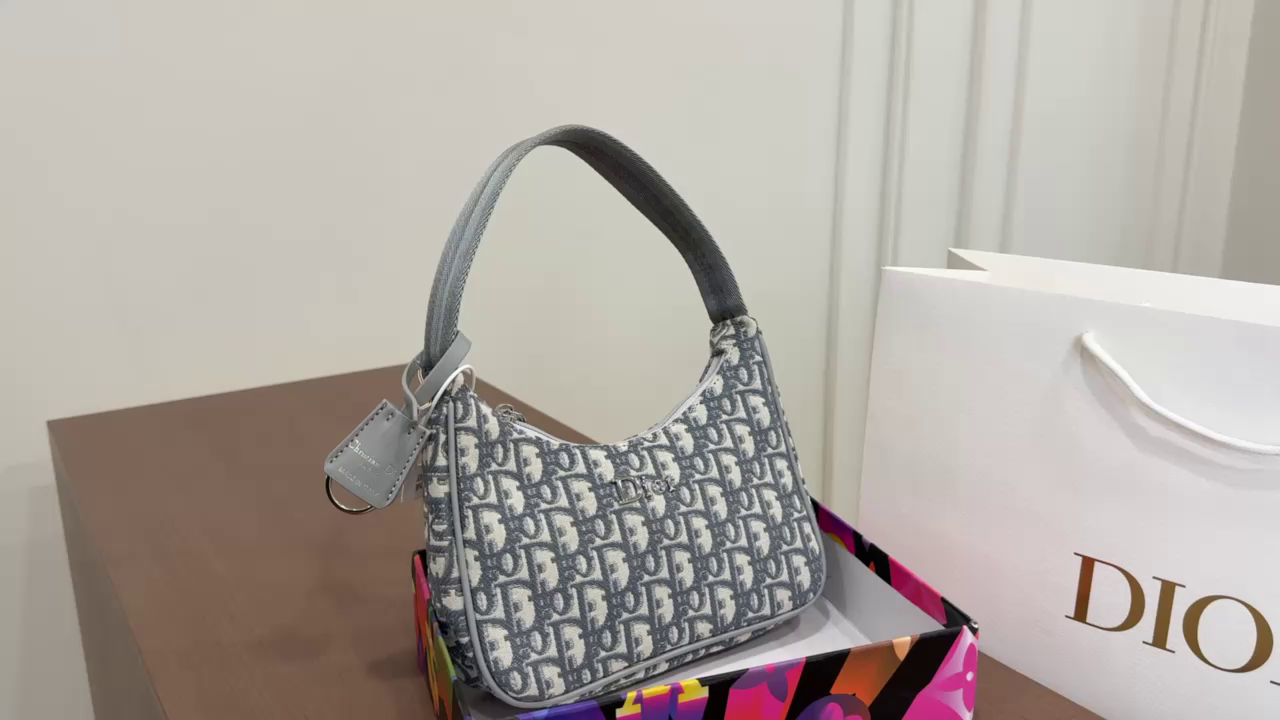 Dior Hobo Underarm Bag