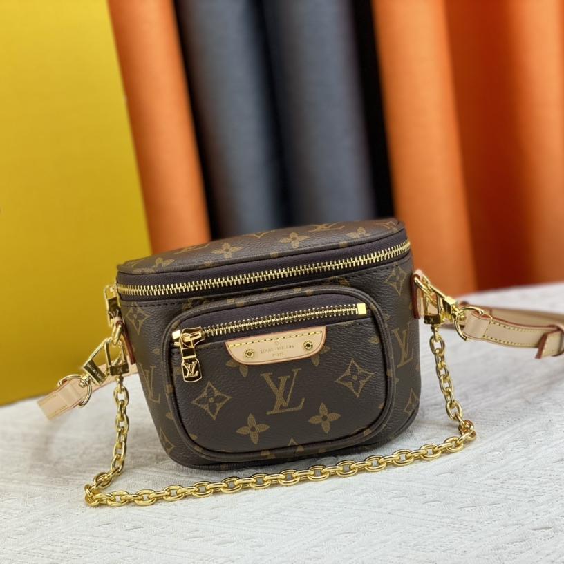 LV Mini Bumbag