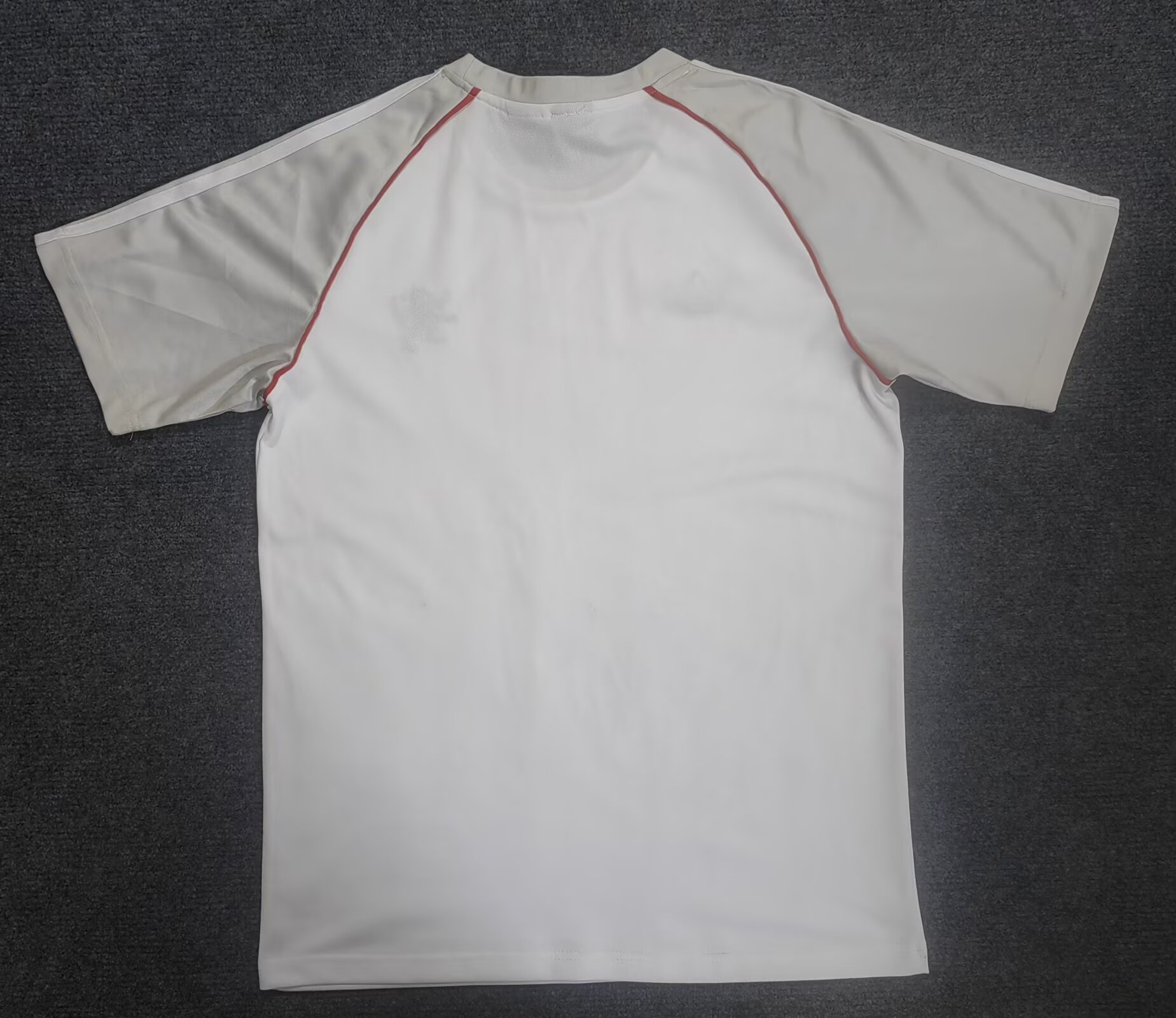 25-26 Lyon Grey and White T-Shirt - Fan Edition