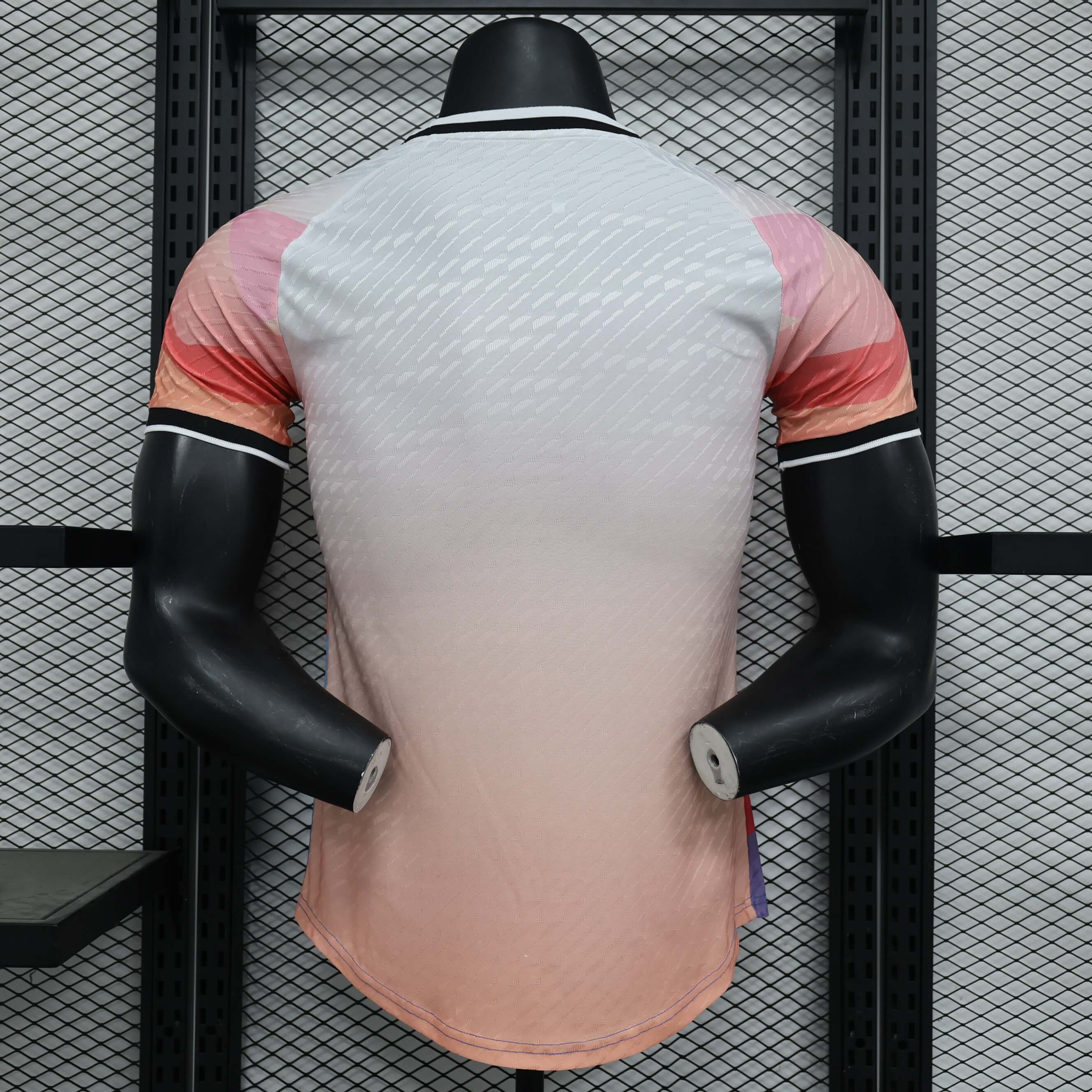 2023/2024 Player Version Japan Special Edition Color Football Jersey