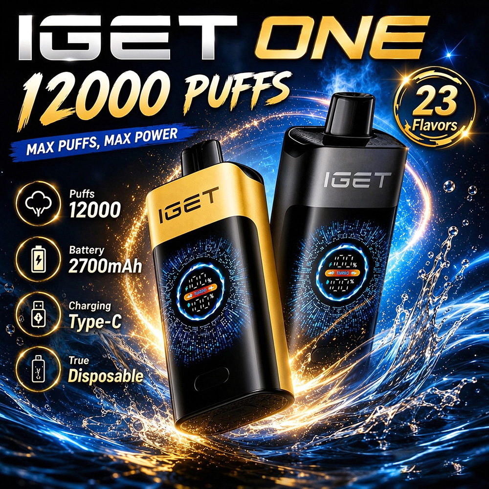 IGET ONE 12000 Puffs - All Flavors