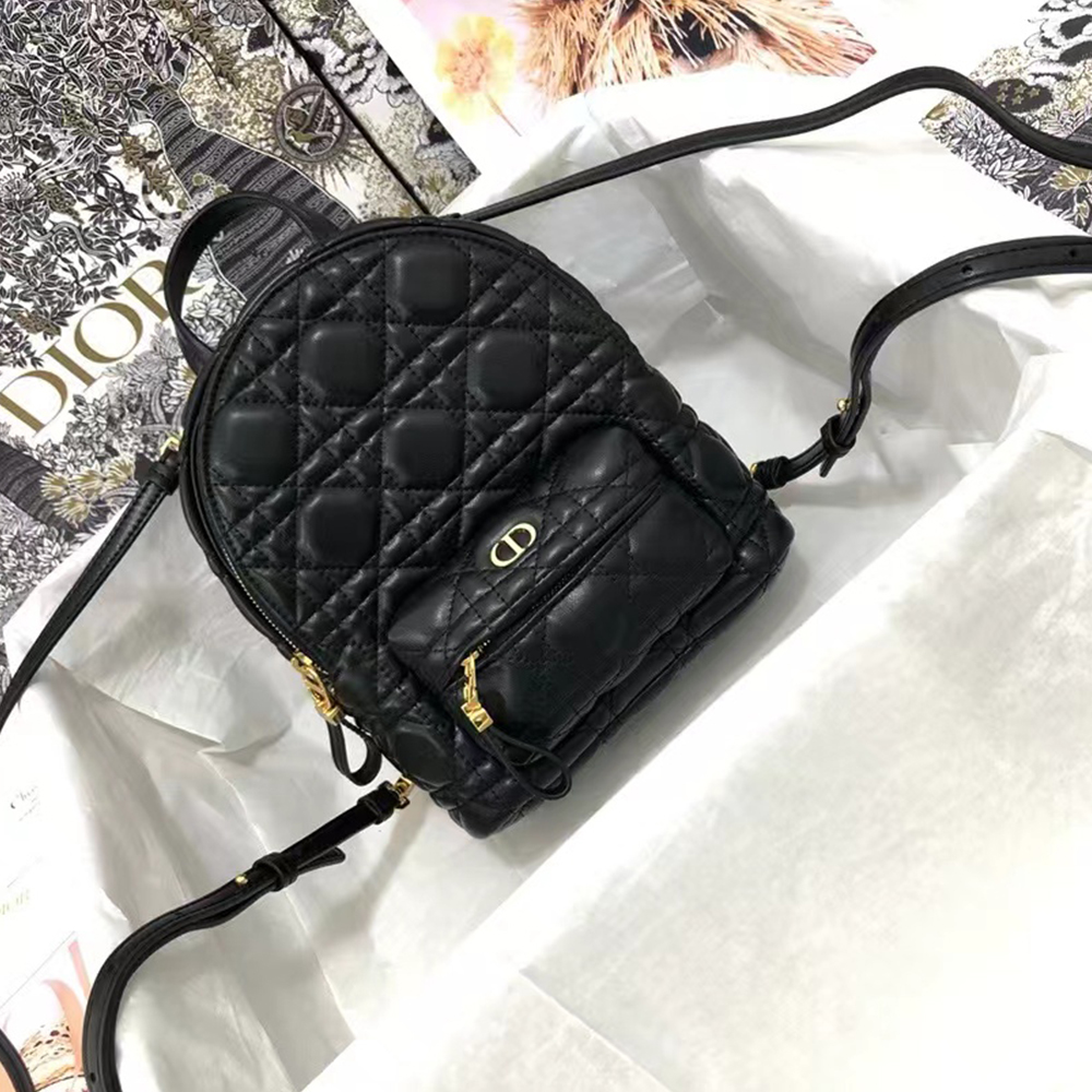 DIOR Shoulder Backpack