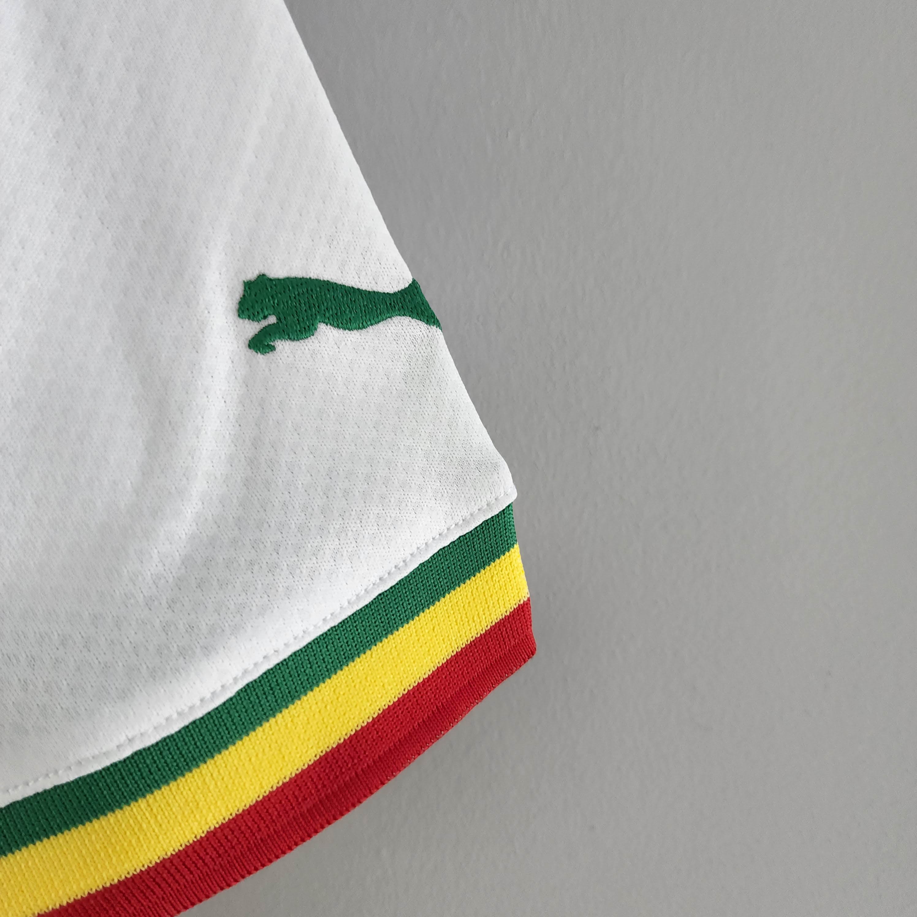 2022 FIFA World Cup Senegal National Team Home Shirt