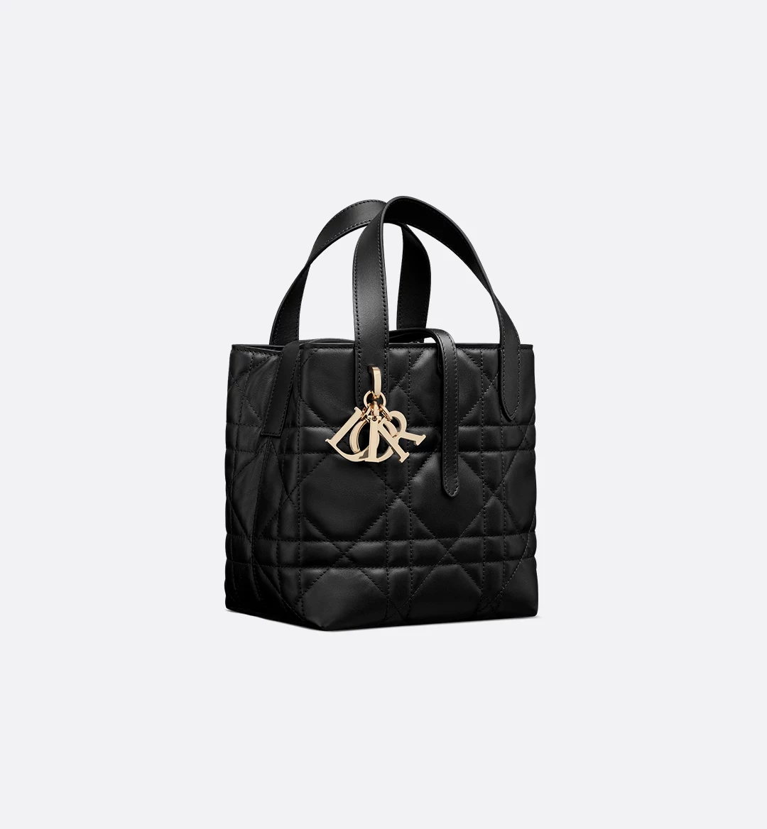 Small Toujours Vertical Tote Bag