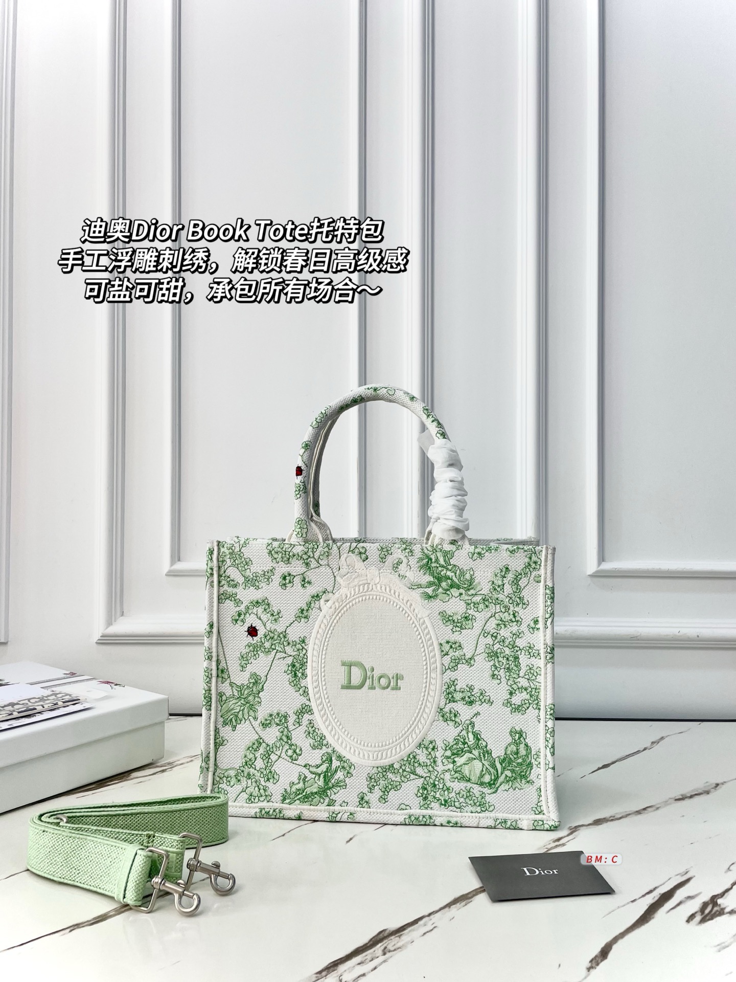 Dior Book Tote Bag