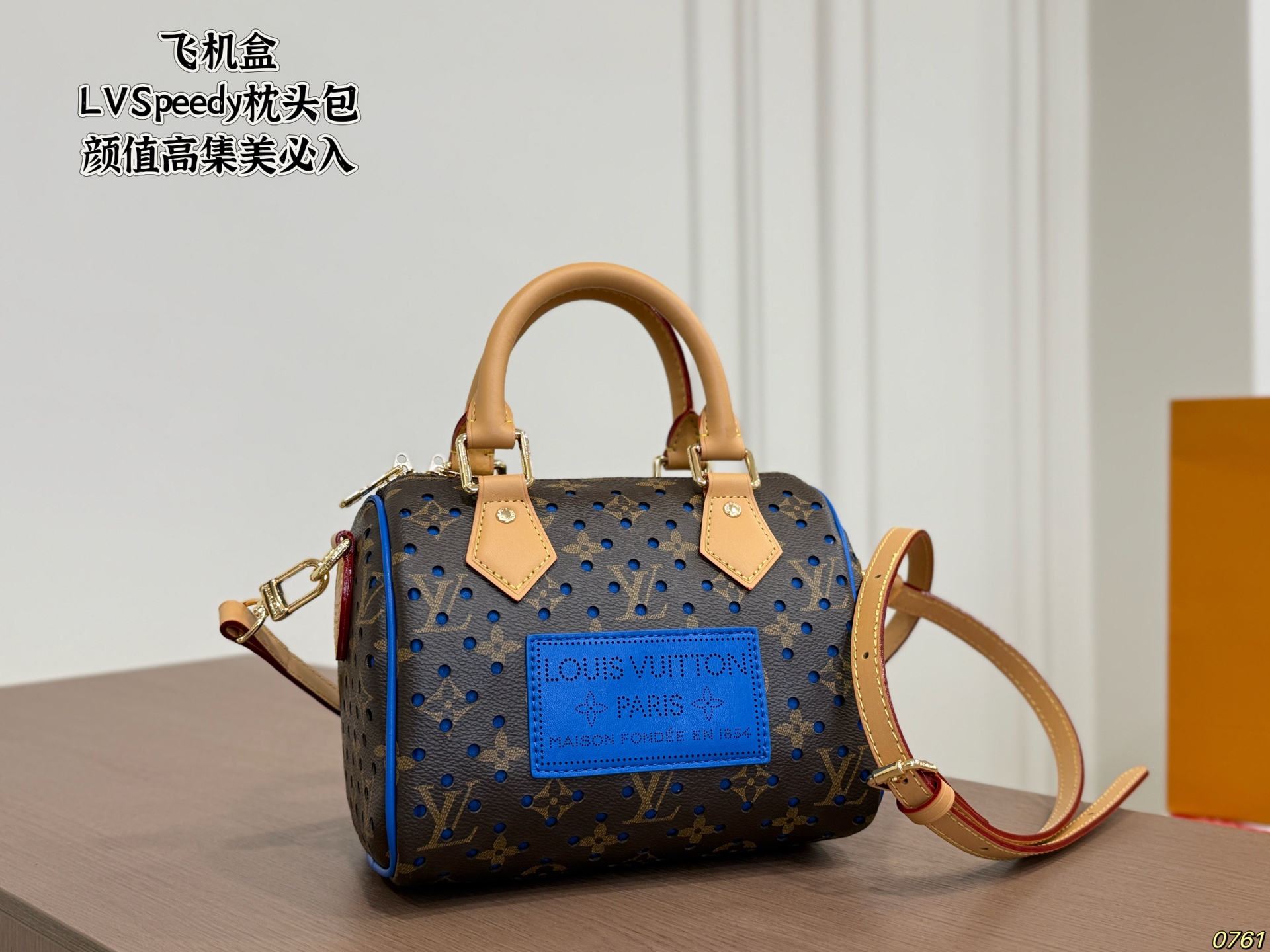 LV Speedy Pillow Bag